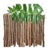 neem stick