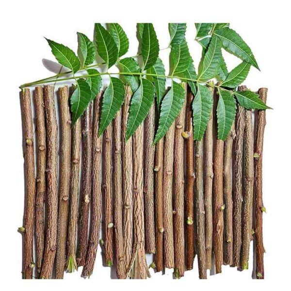 neem stick