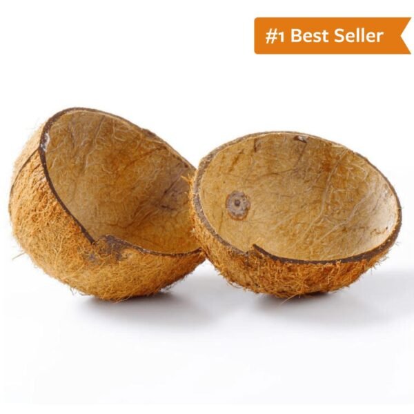 coconut shell products