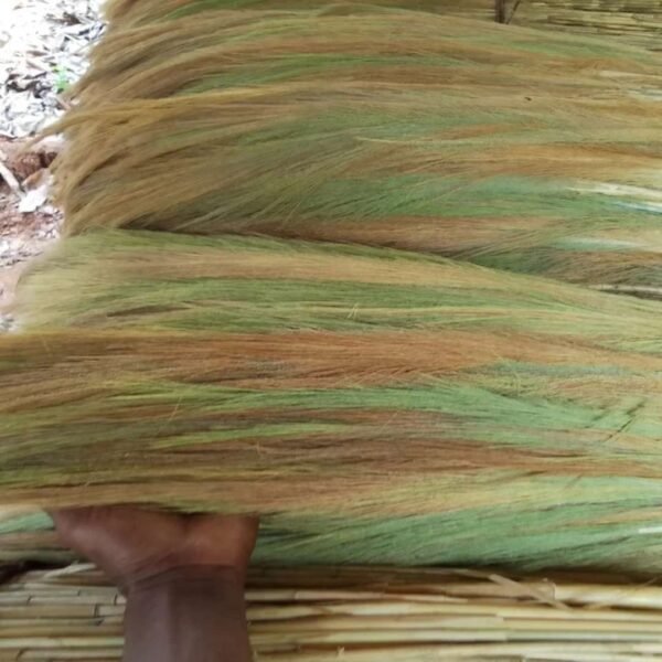 broom grass price​