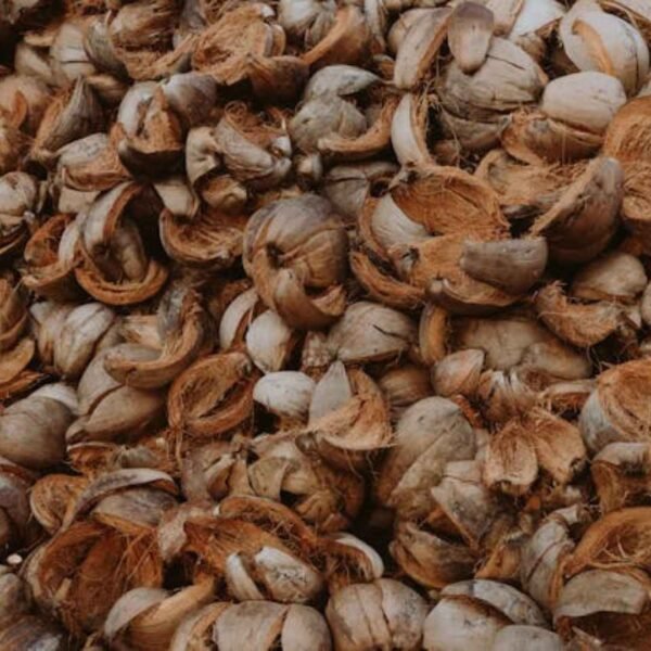 coconut husk online