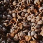 coconut husk online shop